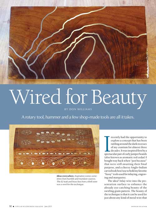 Wired for Beauty