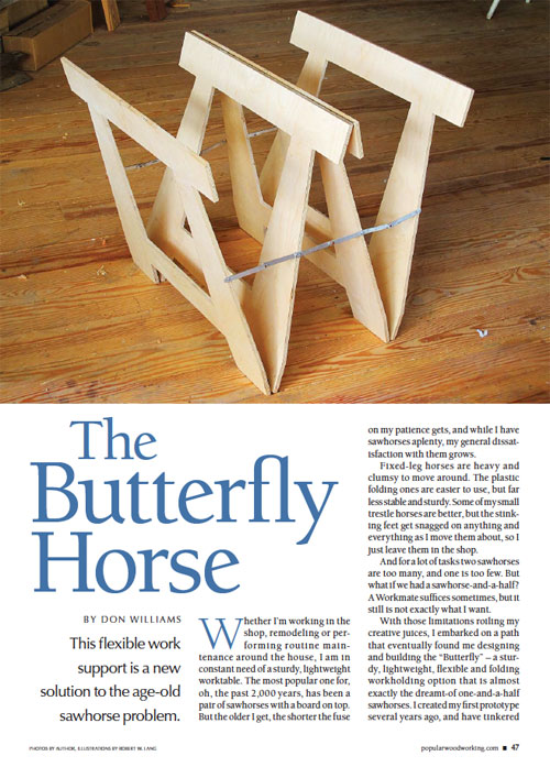 The Butterfly Horse